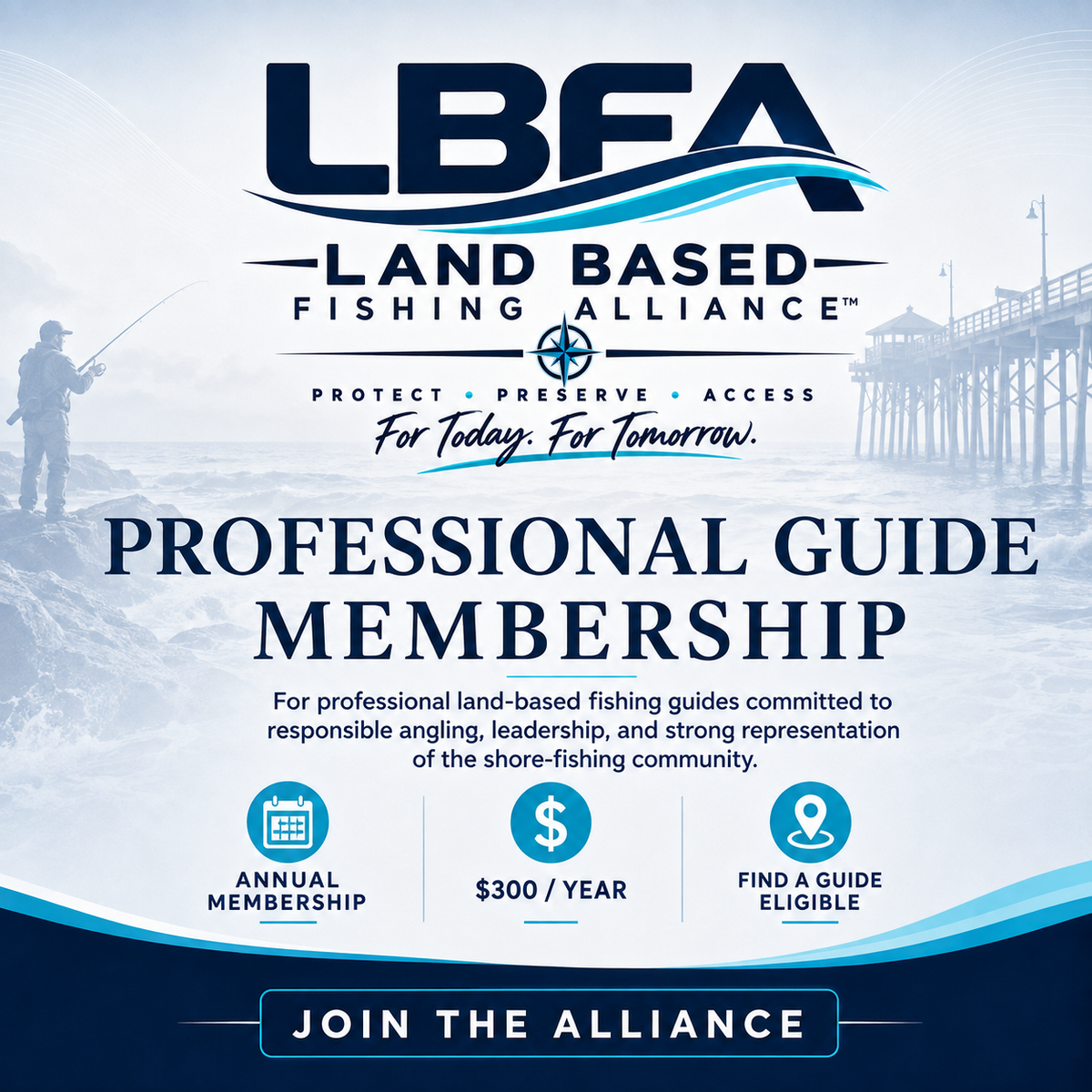 Professional Guide